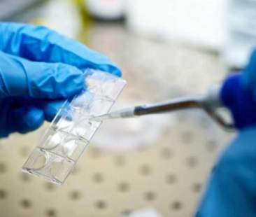 Centri procreazione assistita, in Sicilia sono 39 Centri procreazione assistita, in Sicilia sono 39