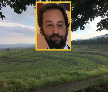 Gambero Rosso: Guida dei vini, l’Etna sbanca Gambero Rosso: Guida dei vini, l’Etna sbanca