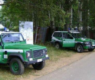 Forestali al vivaio “Paulsen’ arriva l’ok per i primi trasferimenti