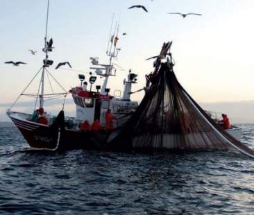 Pesca sostenibile, risorsa per il futuro