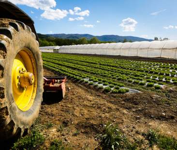 L’assessore Edy Bandiera: “Le risorse non assegnate saranno riutilizzate”