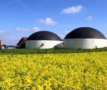 Bioenergie, in Sicilia perfette sconosciute