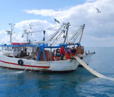 Dal Feamp 16,3 milioni per infrastrutture nella pesca