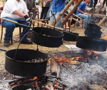 Itinerari d’autunno: castagne grandi protagoniste di molti eventi in programma nell’area del Ticino