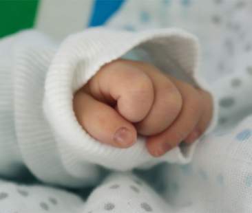 Analisi delle principali patologie neonatali all’interno del Neonatal network della Sin