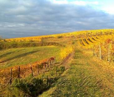 Una Politica agricola europea vicina alle Regioni