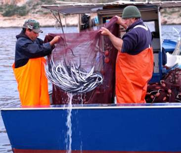 L’aguglia e la valorizzazione delle tradizioni marinare isolane