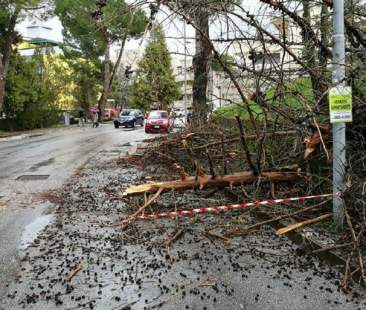Palermo – Incendio e alberi che vengono giù, nel palermitano un lunedì ad alta tensione