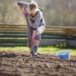 Sicilia, crescono le imprese agricole in “rosa”