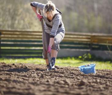 Sicilia, crescono le imprese agricole in “rosa”