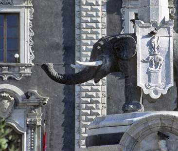 Catania condannata al default, Bonaccorsi: “La Corte ha escluso ogni possibilità”