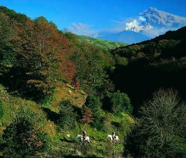 Mafia: gestione dei pascoli sui Nebrodi, quattordici arresti