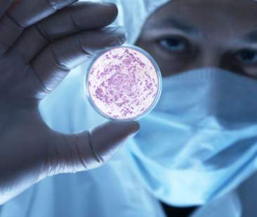 Batteri resistenti agli antibiotici. I neonatologi lanciano l’allarme