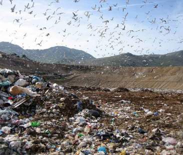 Mafia nei termovalorizzatori? No, in discarica