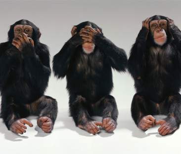 La politica delle tre scimmiette che si oppone alla realizzazione dei termovalorizzatori