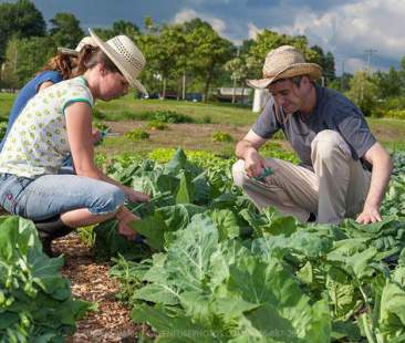 Otto italiani su dieci contenti se il figlio lavorasse nell’agricoltura