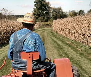 Agricoltori in pensione: dopo una vita nei campi, solo 507 euro al mese Agricoltori in pensione: dopo una vita nei campi, solo 507 euro al mese