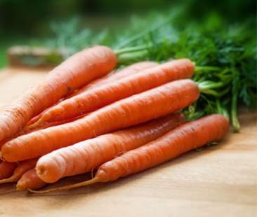 Il Mezzogiorno e la Sicilia protagonisti assoluti del boom di produzioni biologiche