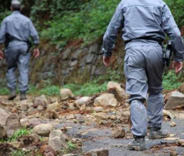 Forestali, i sindacati presentano bozza di riforma al governo regionale