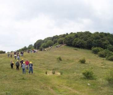 “Pascoli ancora in mano alla mafia”. Il sindaco di Troina lancia l’allarme