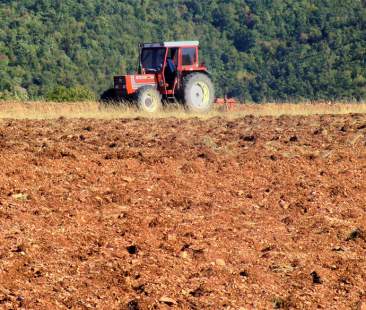 Agricoltura, primo settore… ma non per la Sicilia