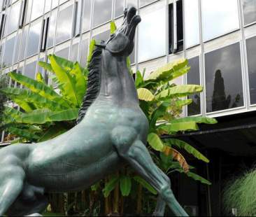 Canone Rai, come ottenere l’esenzione