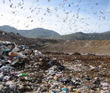 Discariche, un altro anno devastando il suolo