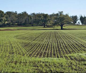 La terra si rilancia, ma in Sicilia vale ancora poco