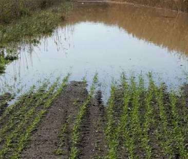 Calamità naturali, Regione mette in moto i fondi