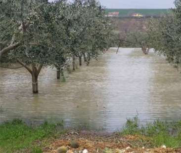 Turismo e agricoltura vittime del clima pazzo