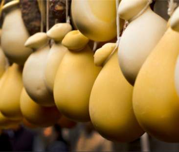 Più visibilità per le eccellenze casearie siciliane Più visibilità per le eccellenze casearie siciliane