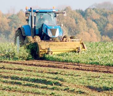Agricoltura: Sud più performante, ma non basta
