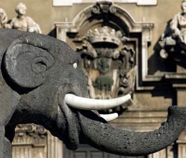 Catania, a due mesi dal default nessuna traccia dei liquidatori