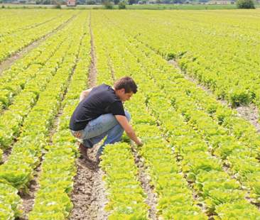 Agricoltura negata alle nuove generazioni