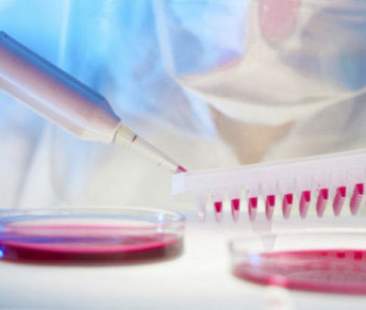 Nuove prospettive di cura per l’Hiv/Aids con la somministrazione del vaccino Tat