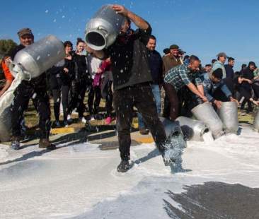 Protesta del latte, malcontento si allarga in Sicilia