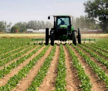 Sicilia, 37% di aziende nell’agricoltura 4.0