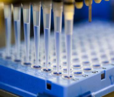 Malattie rare e terapie innovative per fermarle: la sfida rimane quella dell’accessibilità alle cure