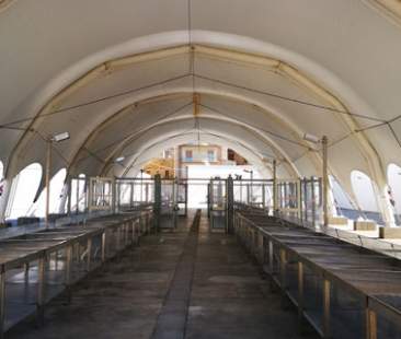 Trapani – Soluzioni per il mercato ittico contro abusivismo e abbandono