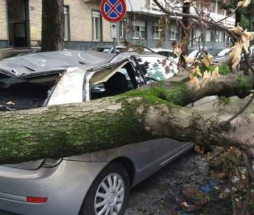 Danni da maltempo, come comportarsi