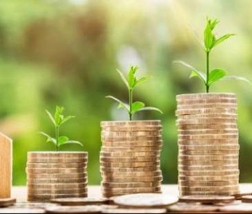 Bonus verde: prorogata per il 2019 la detrazione Irpef del 36%