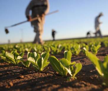 Enna – Riunione sull’emergenza caporalato: in Prefettura un punto sul fenomeno