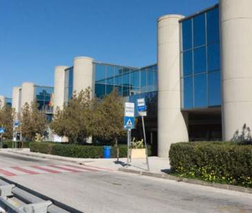 Trapani – Aeroporto di Birgi, “sprint” per i nuovi collegamenti