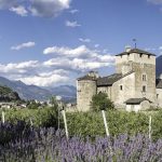 Alla ricerca del mostro nascosto nel Castello
