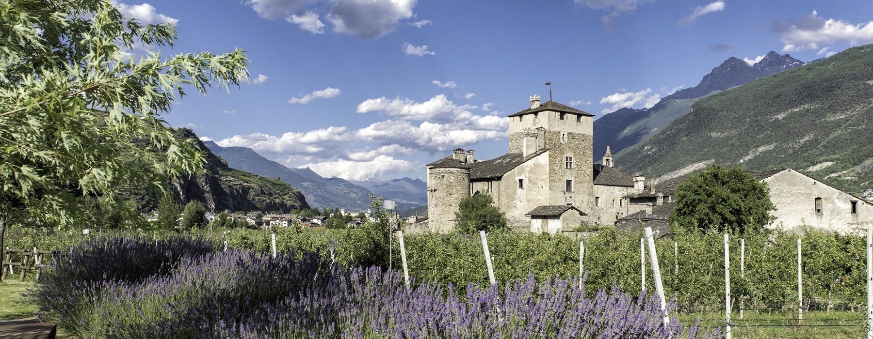 Alla ricerca del mostro nascosto nel Castello Alla ricerca del mostro nascosto nel Castello