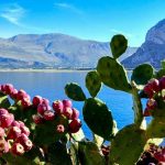 “Sicilia, marchio richiesto ma poco valorizzato”