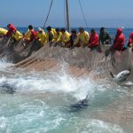 Una “rotta” per valorizzare la filiera del tonno rosso