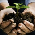 La Regione promuove l’aggiornamento professionale degli agricoltori siciliani