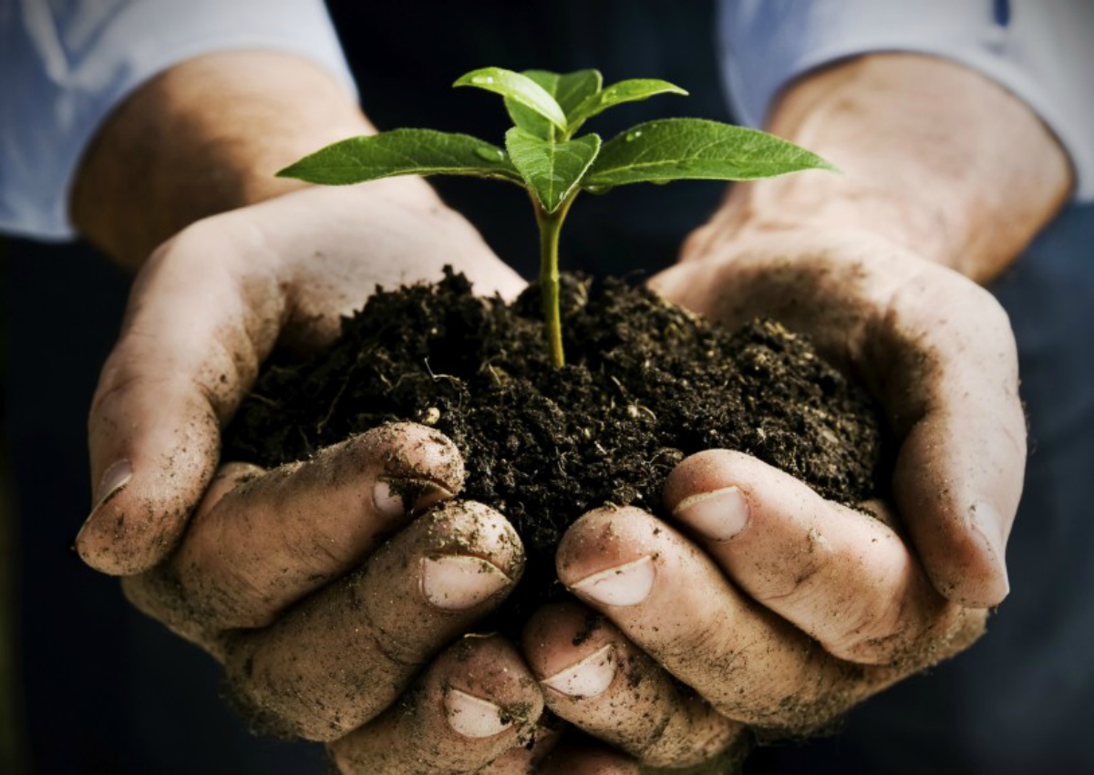 La Regione promuove l’aggiornamento professionale degli agricoltori siciliani La Regione promuove l’aggiornamento professionale degli agricoltori siciliani