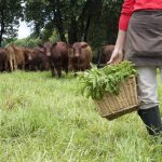 Hobby farmers, contadini per passione
